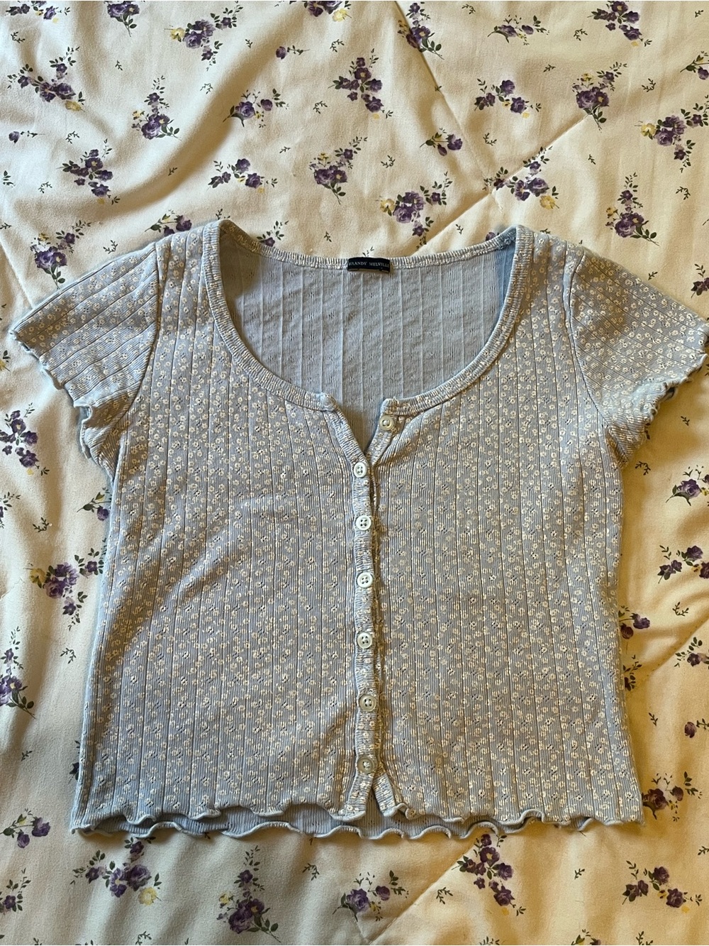 Brandy Melville Light Blue and White Floral Ribbed Button-Up Top